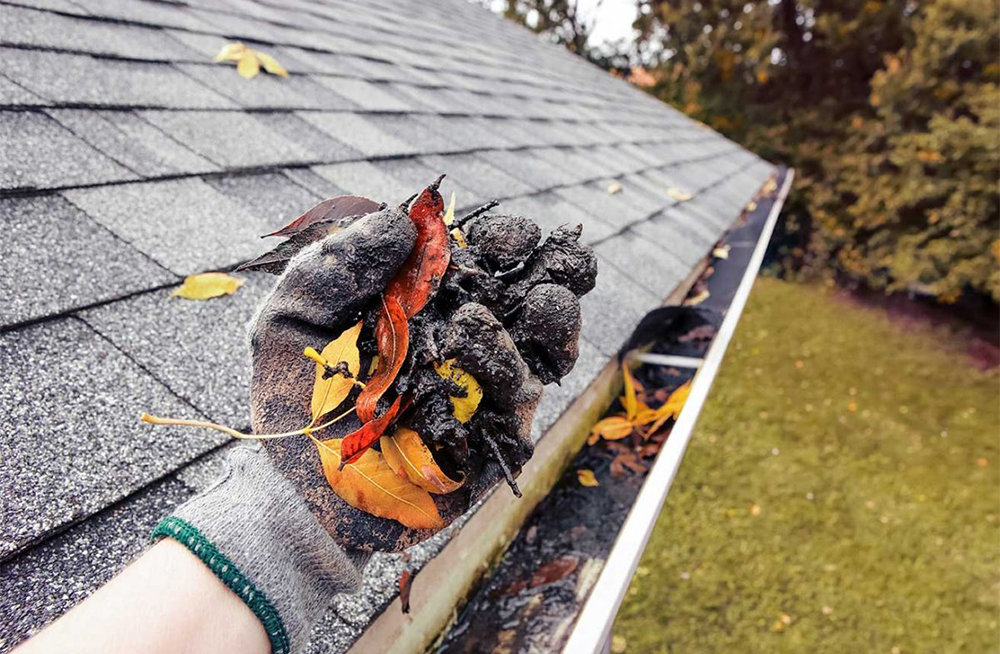 Grime2Shine Property Maintenance business image in Nanaimo, BC